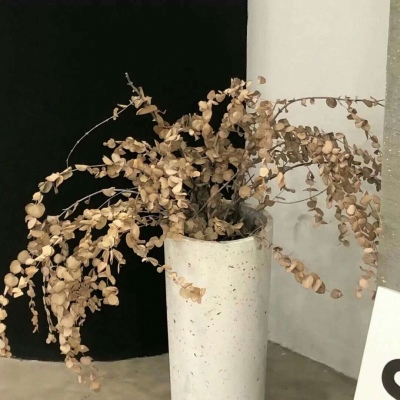 Furry插画人物结合兽圈社群